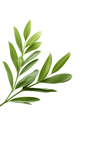 Bottom Left Leaf