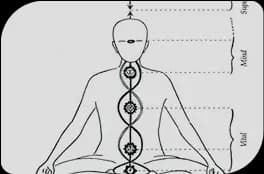 A peek into Integral Yoga with Manoj Pavithran