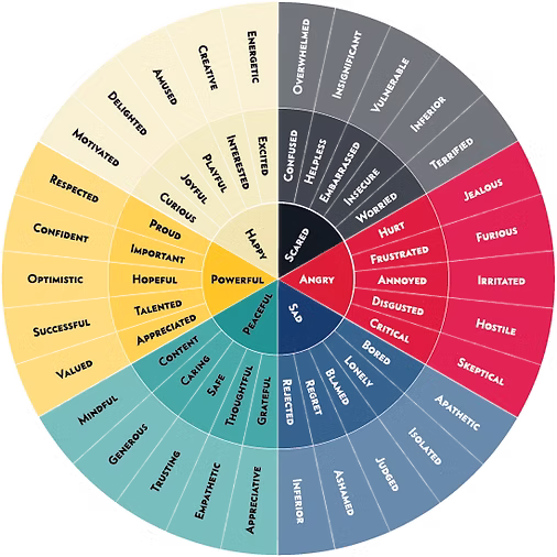An example of an Emotional Wheel