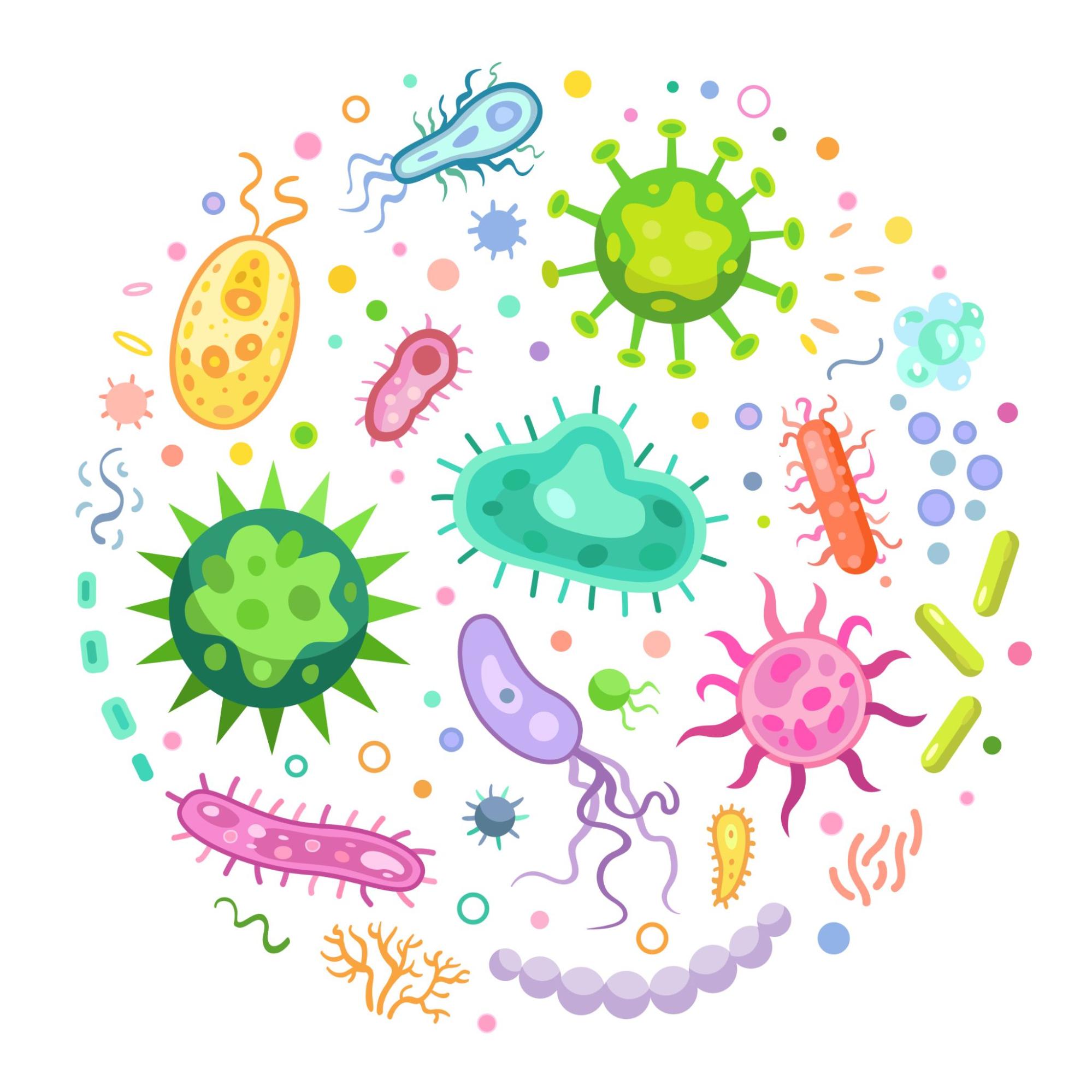 The colourful world of microbes!