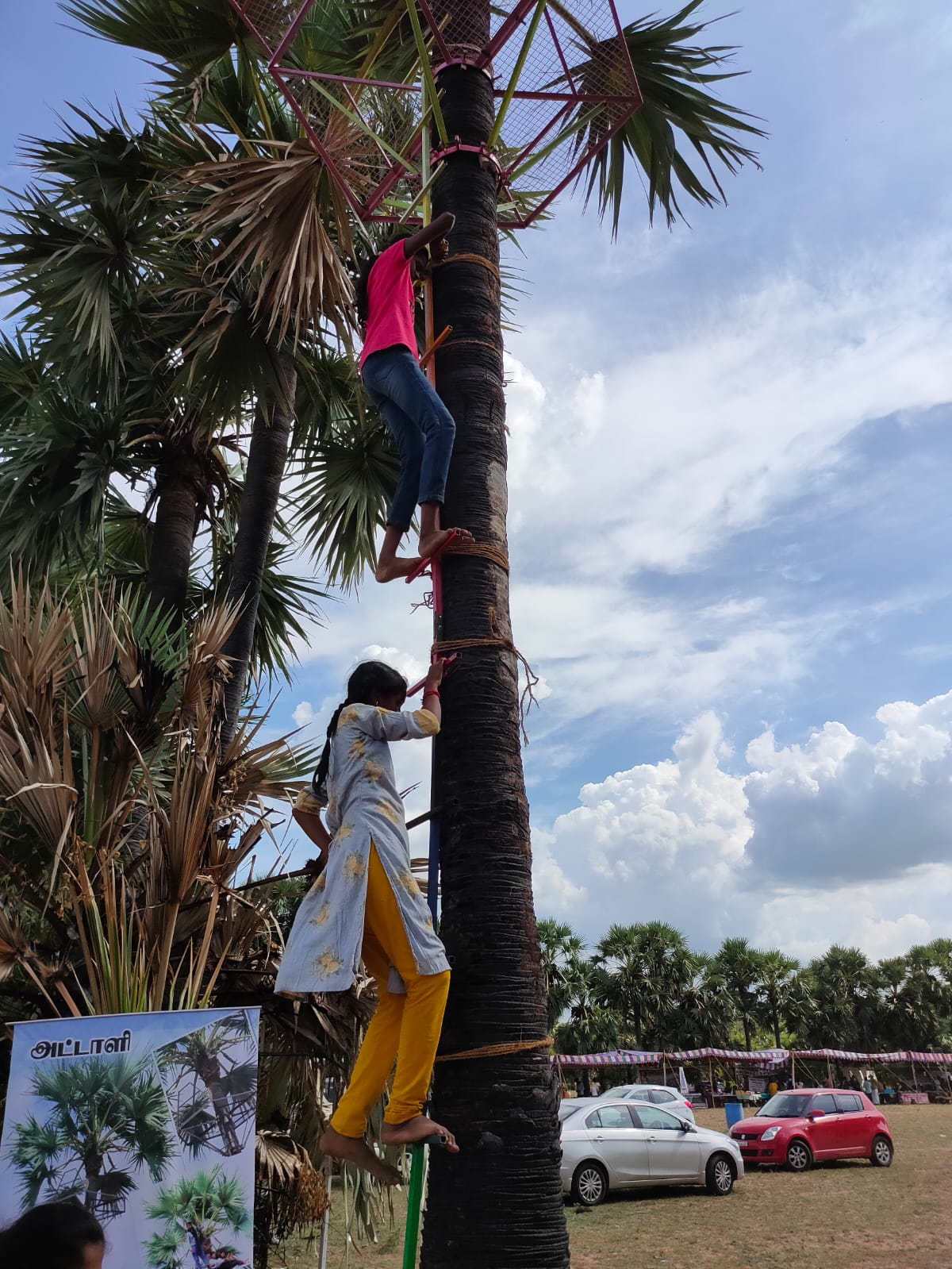 Palm Tree Climbing by students of Isai Ambalam School