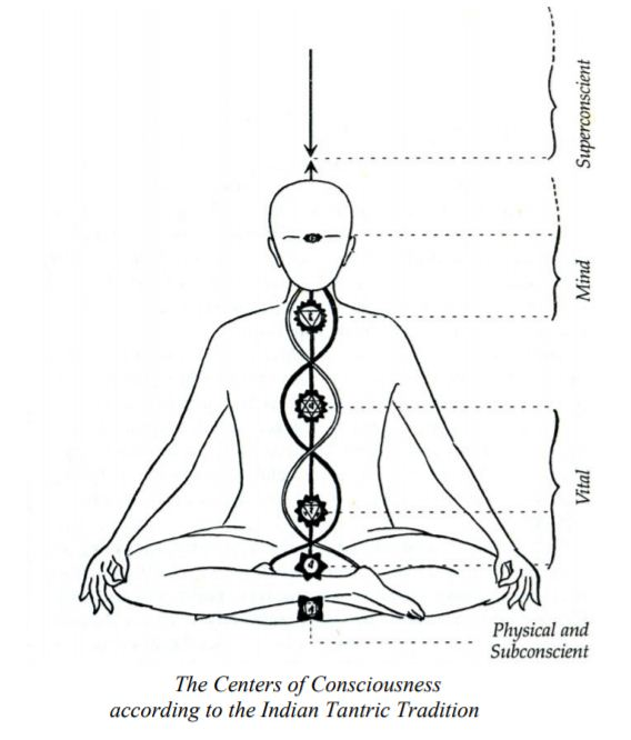 A peek into Integral Yoga with Manoj Pavithran